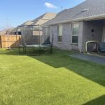 backyard project