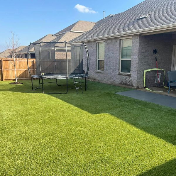 backyard project